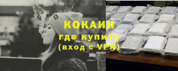 твердый Аркадак