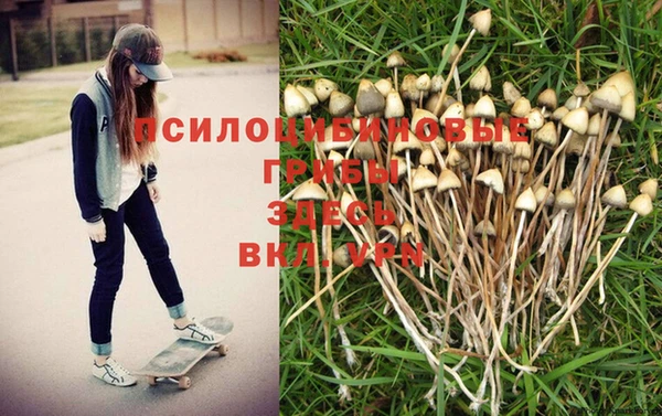 прущая мука Армянск